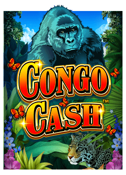 pg slot demo เกมใหม่ เสี่ยงโชคง่ายๆ พร้อมสูตรทำเงิน